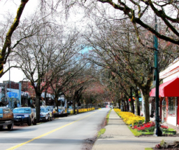 walkable neighborhoods in oak bay