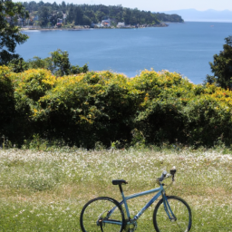 oak bay cycling routes